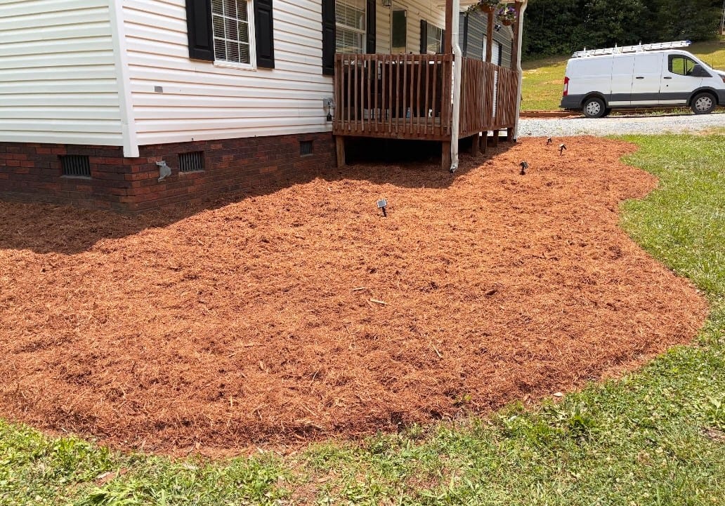 Mulch and edging